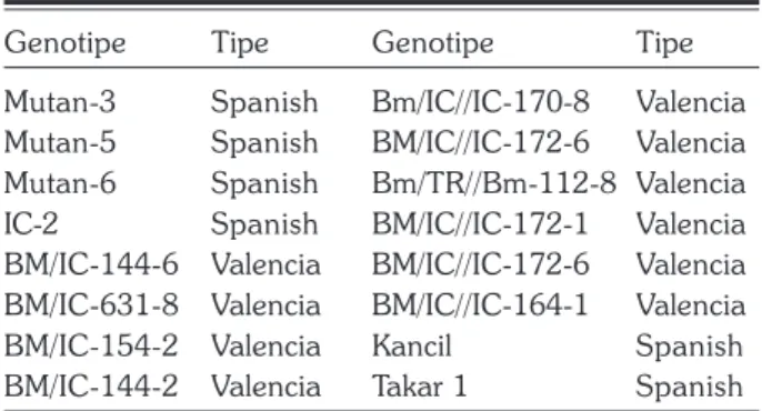 Tabel 2. Daftar genotipe kacang tanah yang digunakan