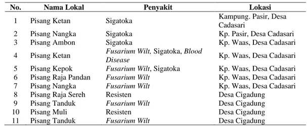 Tabel 2. Profil 11 plasma nutfah Pisang lokal Cadasari meliputi nama lokal, kerentanan 