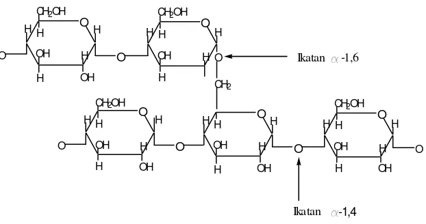 Gambar 2. Struktur rantai linier dari molekul amilosa 
