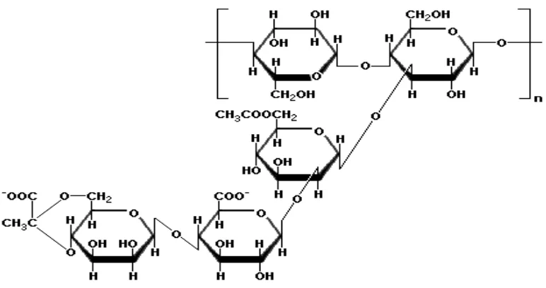 Gambar 2. Struktur kimia xanthan gum 