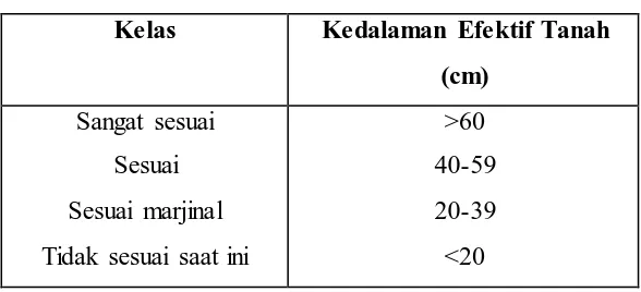 Tabel 1.2 Klasifikasi Kedalaman Efektif Tanah 