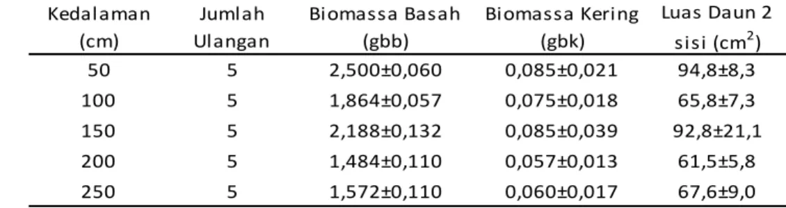Tabel 1. Biomassa dan luas daun (rata-rata ± SD) sampel T. hemprichii yang diinkubasi pada beberapa kedalaman 