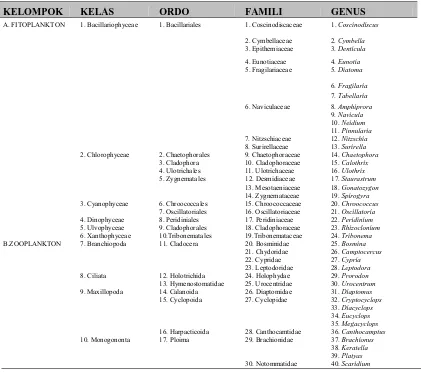 Tabel 4.1 Klasifikasi Plankton yang Ditemukan pada Seluruh Stasiun   Penelitian 