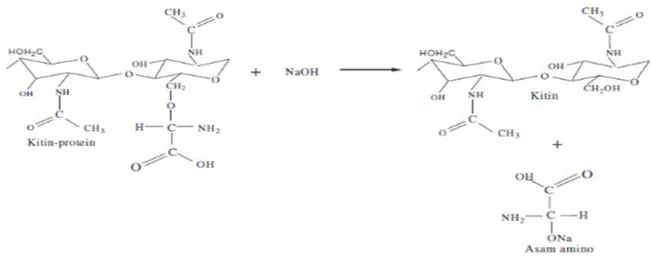 Gambar 1. Reaksi deproteinasi secara kimiawi pada proses isolasi kitin [14].