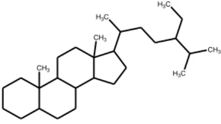 Gambar 2.6 Struktur inti senyawa terpenoid (senyawa mentol) (Robinson, 1995) 