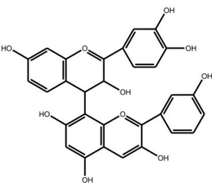 Gambar 2.10 Struktur senyawa tanin (Robinson, 1995) 