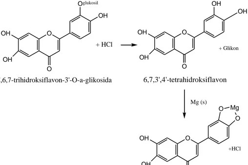 Gambar 4.2 Perkiraan reaksi antara senyawa flavonoid dengan Mg-HCl 