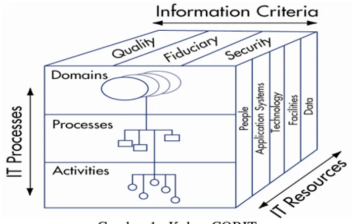 Gambar 1.  Kubus COBIT  Sumber : IT Governance Institute (2007) 