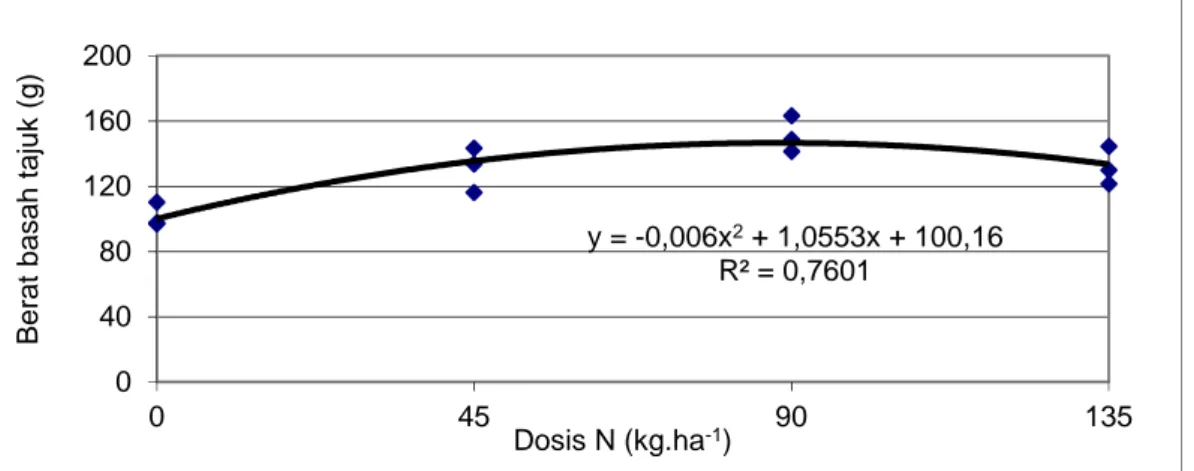 Gambar 1.  Hubungan antara dosis pupuk nitrogen dengan berat basah tajuk.