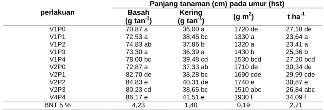 Tabel 5  Rerata  Hasil  Bobot  Umbi  Basah,  Kering,  g  m 2   dan  Bobot  Umbi  per  Hektar  Pemberian  Dosis Kompos Azolla dan Azolla Segar pada Berbagai Umur Tanaman 