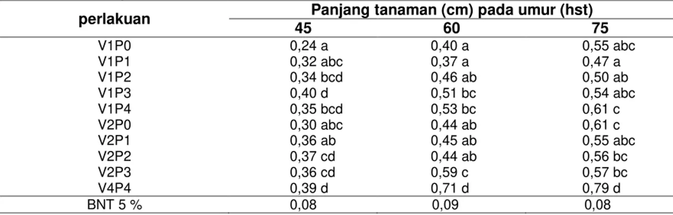 Tabel  4    Rerata  Indeks  Luas  Daun  Pemberian  Dosis  Kompos  Azolla  dan  Azolla  Segar  pada 