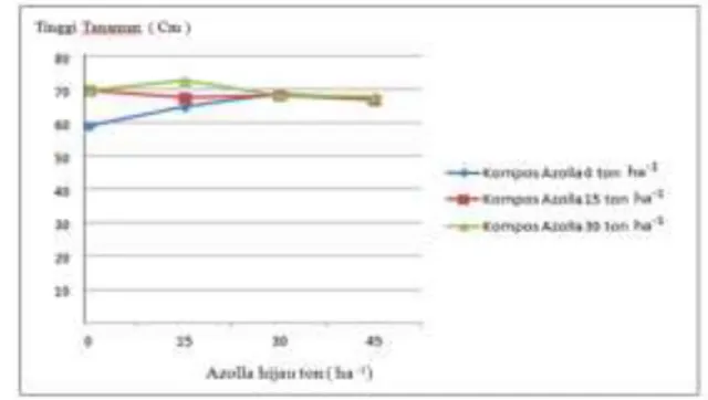 Tabel  4.  Rata-rata  P  tersedia  dan  K-dd  tanah   akibat  pengaruh  azolla  dalam  bentuk  kompos   Kompos Azolla  (t ha -1 ) P tersedia (ppm)  K dd  (cmol kg -1 )  0  1,81 a 0,33ab 15  1,98 a 0,32a 30  2,15 b 0,35b