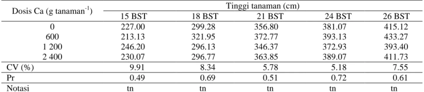 Tabel 2. Tinggi TBM-2 kelapa sawit pada berbagai taraf pemupukan unsur Ca 
