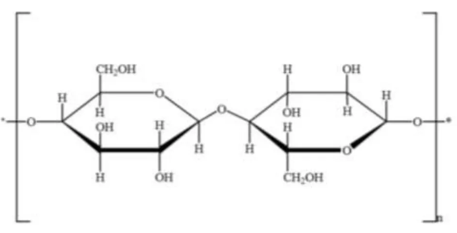 Gambar 2.1 Struktur Molekul Selulosa (Fessenden dan Fessenden, 1986). 