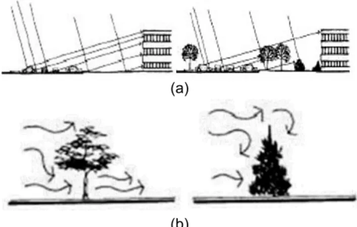 Gambar  1.  Kenyamanan  termal  yang  timbul  dari    (a)  sinar  matahari  dan  (b)  gerakan  angin