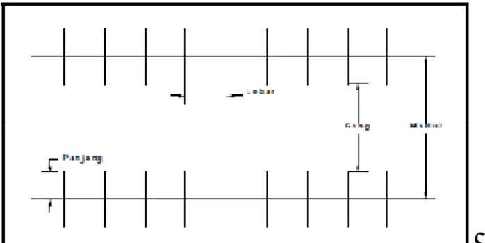 Gambar 2.18 Jalur Gang, Modul, Lebar dan Panjang Ruang Parkir  Tabel 2.3 Lebar Jalur Gang 