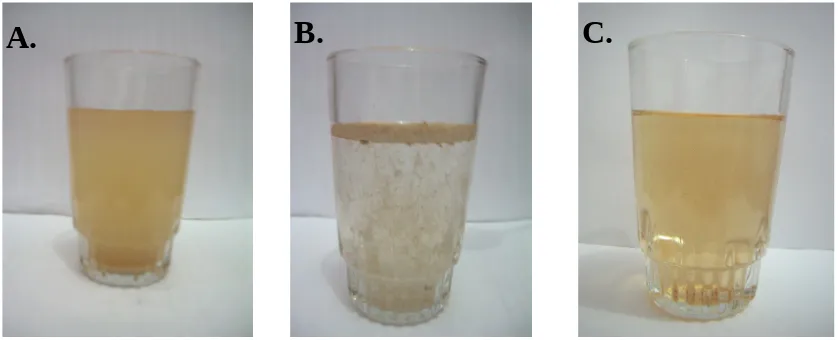 Gambar 4. Grafik adsorpsi isoterm serbuk instan dan granul effervessen dari kulit buah kering dan ekstrak kulit