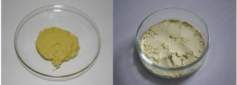 Gambar 1. Nanopartikel kitosan  – ekstrak kulit manggis : (kiri) bentuk pasta, (kanan) bentuk serbuk.