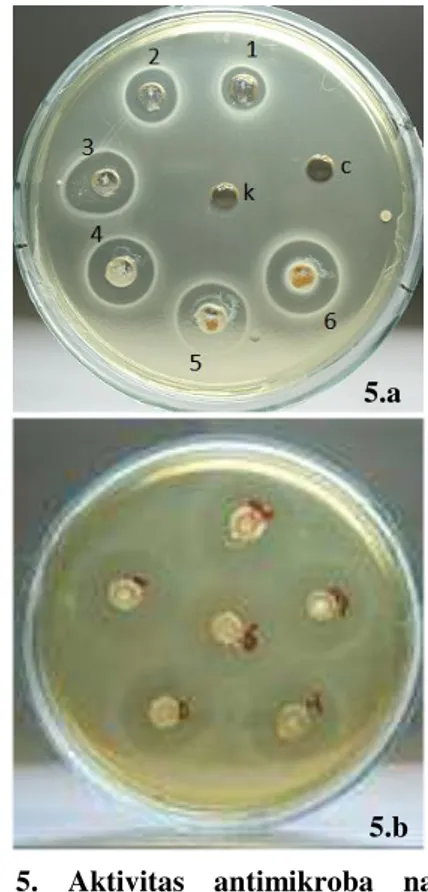 Gambar  6.  Aktivitas  anti  bakteri  contoh  formula  sediaan  antiacne  dengan  bahan  aktif 