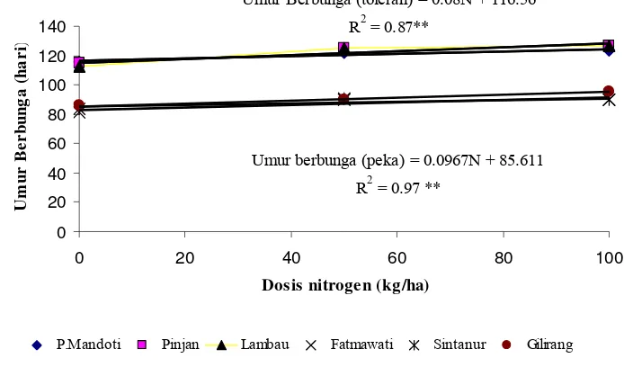 Gambar 6  Hubungan antara dosis nitrogen dengan umur berbunga pada 6 