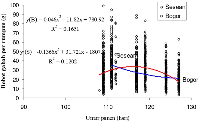 Gambar 10 Hubungan antara karakter umur panen dengan bobot gabah per  rumpun.   