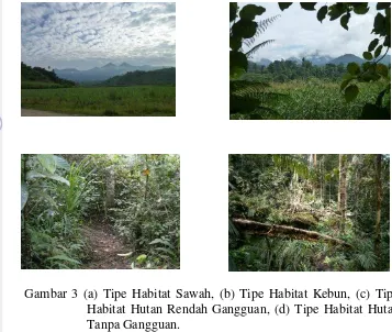 Gambar 3 (a) Tipe Habitat Sawah, (b) Tipe Habitat Kebun, (c) Tipe 