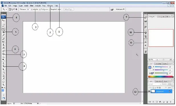 Gambar 2.7.  Tampilan Penggunaan Adobe Potoshop CS3 