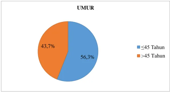 Gambar 4. Diagram pie proporsi penderita TB MDR berdasarkan umur di RSUP  H. Adam Malik Medan tahun 2016-2017 