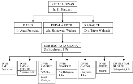 Gambar 1. Struktur Organisasi UPTD Aneka Usaha Ternak Dinas Peternakan dan Perikanan Kabupaten Sragen (2010)  
