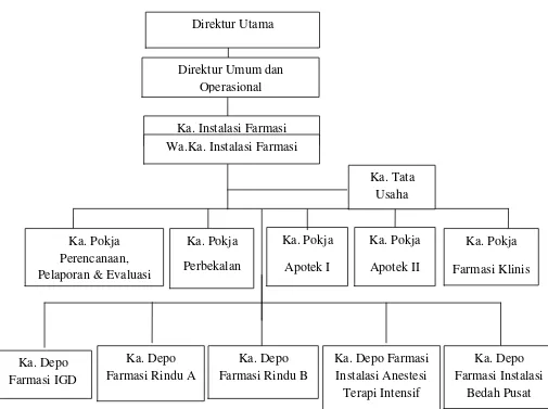 Gambar 3.1  Struktur Organisasi Instalasi Farmasi RSUP. H. Adam Malik Medan 