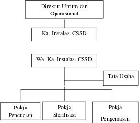 Gambar 3.2 Struktur Organisasi Instalasi Central Sterilized Supply Department (CSSD) RSUP H