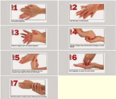 Gambar 1. Prosedur 7 langkah mencuci tangan 