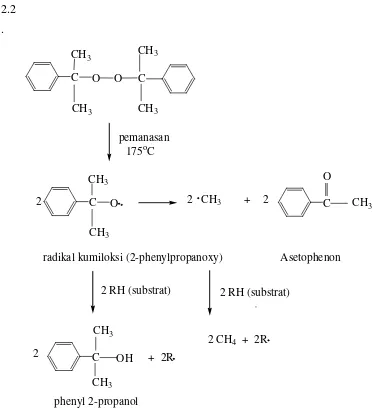 Gambar 2.2. Reaksi dekomposisi Dikumil Peroksida 