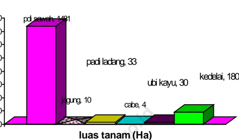 Grafik 5.1 Banyaknya luas tanam (Ha) komoditas tanaman semusim