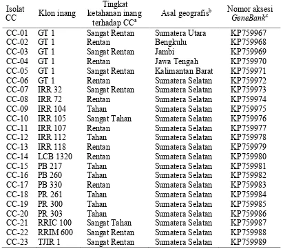 Tabel 1  Klon karet inang, tingkat ketahanan klon inang terhadap C. cassiicola, daerah asal dan nomor aksesi Genebank 23 sekuen ITS-rDNA isolat C.cassiicola yang diisolasi dari perkebunan karet di Indonesia 