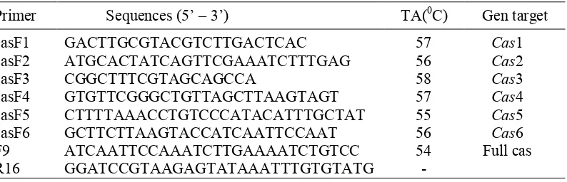 Tabel 3  Daftar primer gen cas, suhu anealing dan isoform target yang digunakan dalam penelitian  