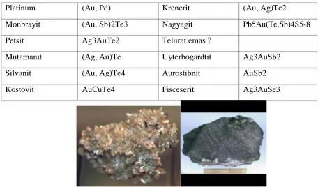 Gambar .(a).elektrum dan (b) maldonit 
