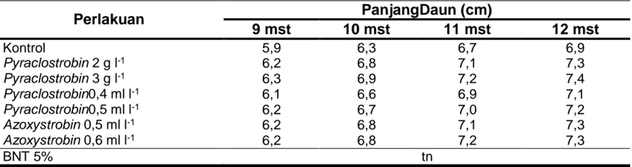 Tabel  3.  Rata  -  rata  panjang  daun  akibat  perlakuan  pyraclostrobin  dan  azoxystrobin: dengan  konsentrasi yang berbeda pada berbagai umur a pengamatan