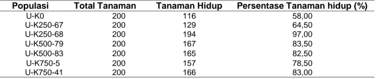Tabel 1. Persentase tanaman hidup padi hitam pada 25 hss