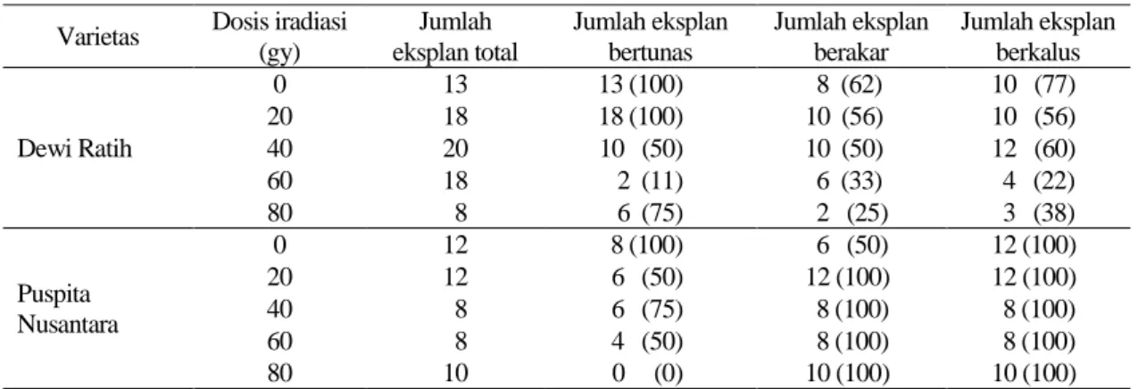 Tabel 1. Persentase eksplan bertunas, eksplan berakar, dan eksplan berkalus  pada 12 MSI  Varietas  Dosis iradiasi 
