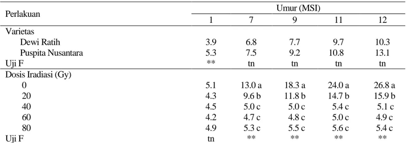 Tabel 4. Interaksi varietas dengan dosis iradiasi terhadap jumlah daun tanaman  krisan pada 2 sampai 6 MSI 