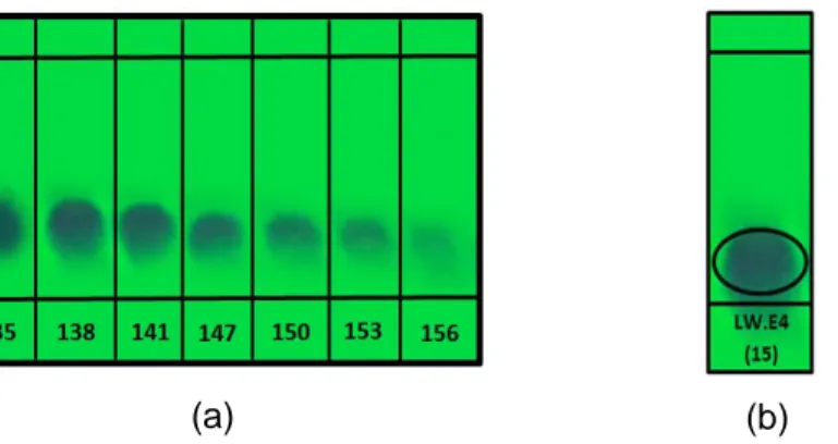 Gambar 4.  Profil kromatogram fraksi LW.E 4 (15) sebelum penggabungan menggunakan eluen 