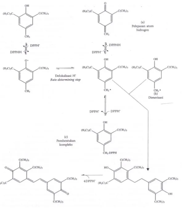 Gambar 3 Reduksi DPPH dari senyawa peredam radikal bebas 33