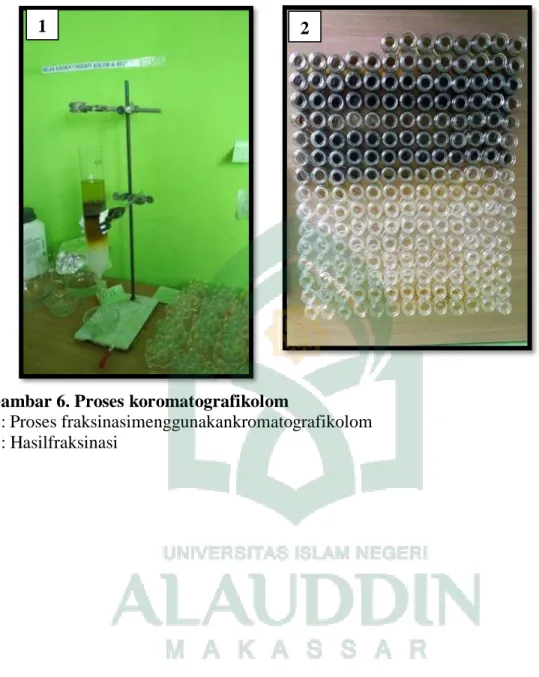 Gambar 6. Proses koromatografikolom 