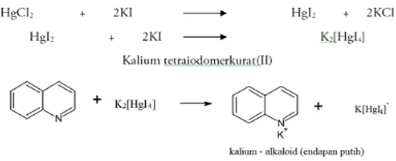 Gambar 2.  Reaksi uji mayer (Marliana dkk.,  2005)