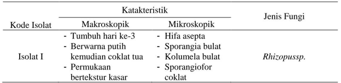 Tabel 1.Karakteristik isolat I fungi endofit dari kulit batang Langsat (Lansium domesticum)  Kode Isolat  Katakteristik  Jenis Fungi Makroskopik  Mikroskopik   Isolat I 