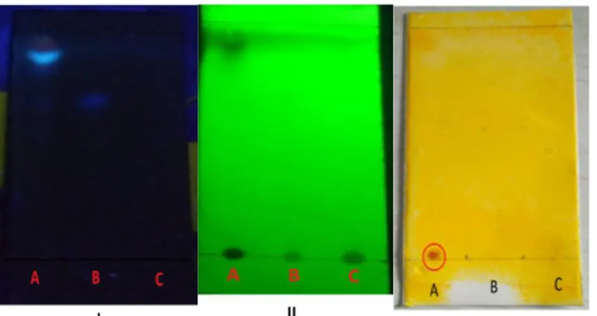 Gambar 1. Kromatogram hasil KLT ekstraksi cair-cair. Visualisasi di bawah lampu UV 366  nm (I), di bawah lampu UV 254 (II), setelah disemprot penampak bercak Dragendorf (III),  fraksi n-Heksan (A),fraksi etil asetat (B), fraksi n-Butanol (C), Fase diam Sil