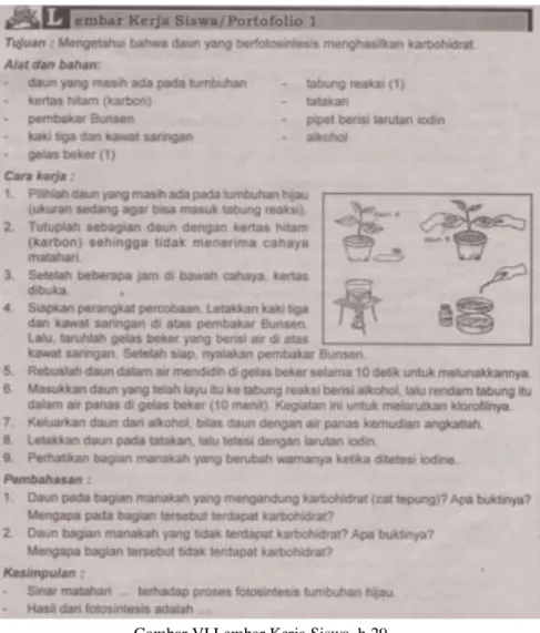 Gambar VI Lembar Kerja Siswa, h.29