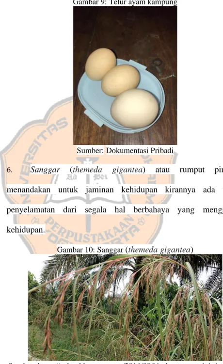Gambar 9: Telur ayam kampung 