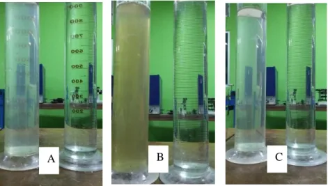 Gambar 5. Pengamatan Visual Warna Pada Setiap Sampel 